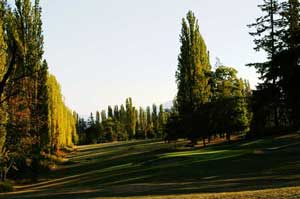 Fall colors at Discovery Bay Golf Course